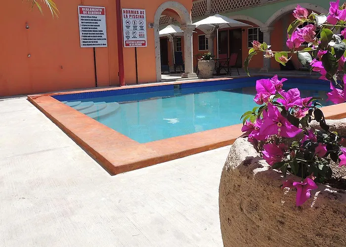 Cactus Cabos