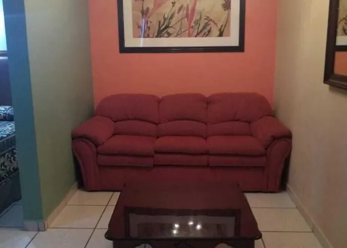 Cactus Cabos